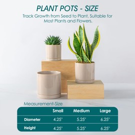 vancasso Ceramic Plant Pots, 3 Piece Planters for Indoor Plants, 4.25+5.25+6.25 Inch Flower Pots with Drainage, Plant Pots Indoor for Succulent, Pothos, Snake Plant and Money Tree, Etc (Gray)