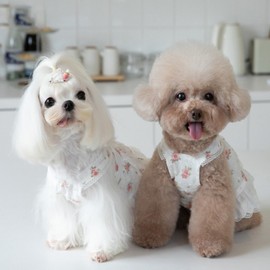 Lovely Rose Summer 1-Piece Dog Dress Sleeveless 3XL