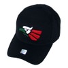 Mexican Mexico Hat Hecho En Mexico Eagle Aguila Snapback Flat