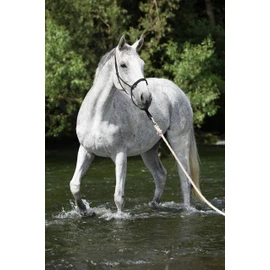 Horse Rope Halter Knot Halter for Parelli Floorwork Natural Horsemanship Work (Navy, Pony)