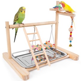 Bird Playground, Parrot Playstand Cockatiel Playground, Bird Play Stand with Feeder Cups, Swings, Ladder and Removable Tray, Parrot Perch Stand for Parakeet Conure Lovebird Budgie (2 Layers)