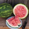 Eden Brothers Watermelon Seeds - Crimson Sweet Non-GMO Seeds for