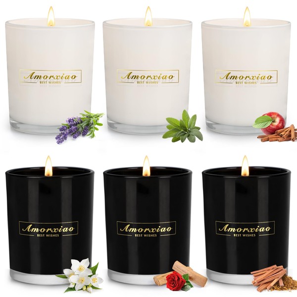 6 Pack Scented Candles, 6x5.8oz Large Candles Clearance, Candles for Home Scented, 250 Hour Long Lasting Soy Candles, Aromatherapy Jar Candles Gifts for Women, Christmas Candles, Home Decor