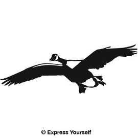Express Yourself Products Canadian Gliding Goose (Black - Image Facing as Shown - Large) Decal Sticker - Waterfowl Collection