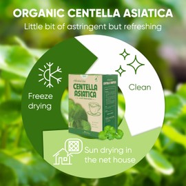 NMPT Centella Asiatica Leaf Tea, 100% Hand Pick, Organic Herbal Tea, 40 Count, Freeze Drying, Gluten Free, Dairy Free, No Sugar Added, Energy Boost & Health Support, 0.07 Oz Each