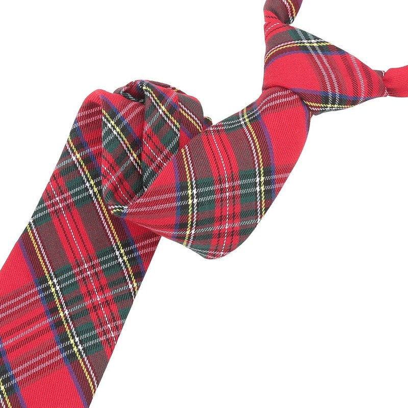 DQT Men's Tartan Plaid Formal Casual Patterned Classic Tie -