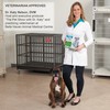 Guardian Gear Nylon Lift and Lead 4-in-1 Dog Harness, Small,