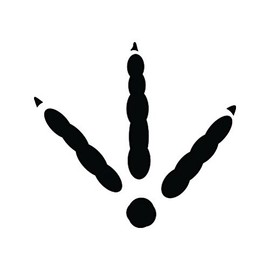 (4X) Turkey Tracks Sticker - Decal - Die Cut - Black