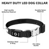 PetIsay Dog Light up Collar with Metal Buckle - Ultimate