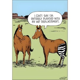 Woodmansterne Funny Get Well Soon Humour Greeting Card - Zebra Hip Replacement - From Speed Bump Range - Suitable For Him / For Her, Multicoloured, 120 x 173 mm