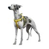 ZOOLAND No Pull Dog Harness, Easy Walk Puppy Soft Basic