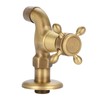 Wall Mounted Vintage Solid Brass Faucet Single Cold Water Tape