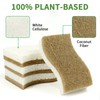 KICKLEEN 16 Pack Biodegradable Natural Kitchen Sponge - Compostable Cellulose