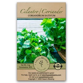 Gaea's Blessing Seeds - Cilantro Seeds - Non-GMO Heirloom Seeds with Easy to Follow Instructions - Leisure Coriander Heirloom - 90% Germination Rate (Single Pack)