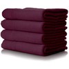 Fabric Dye Dylon Fabric Dye, Burlesque Red by Fabric Dye