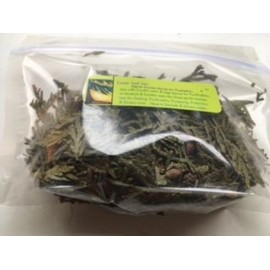 Herbs: Cedar Leaf ~ Tips ~ 1 oz ~ Wild Harvested ~ Ravenz Roost with Special info on Label