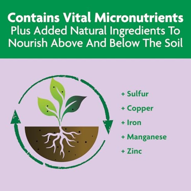 Miracle-Gro Shake 'N Feed Rose & Bloom Plant Food