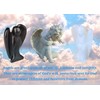 DUQGUHO 2 Pcs Crystal Angel Statues Black Obisdian Opal Pocket