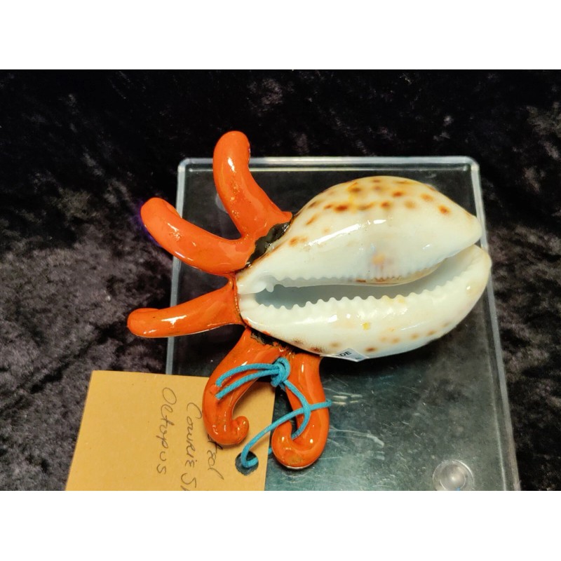 Orange Octopus Cowrie Shell
