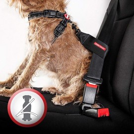 EzyDog Adjustable Chest Plate Harness - Step-In, No Pull Dog Harness, XX Small to XX Large Dogs - Reflective, Durable Soft Webbing, K9 Travel Vest with Car Restraint - Ideal for Active Pets - Red