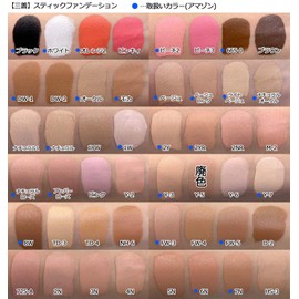 Sanzen Stick Foundation 6N