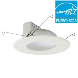 EcoSmart 65W Equivalent Soft White Bulb (LOT of 4) ECS RFK6 65WE W27 120 REC