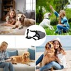 1 Pcs Dog Muzzle, Muzzle for Medium Dogs, Soft Air