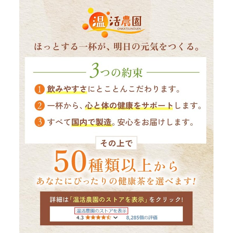 Warm Farm Japanese Special Roasted Tea Bags 0.1 oz (3