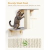 Pecute Double Cat Shelves with Cat Scratching Post for Wall