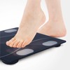 Axel Smartphone Interlocking Body Composition Meter Bee Manage W26 x