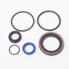 Forward Lift 2 post Cylinder Seal Kit / rebuild kit