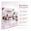 Crema Rejuvenecedora Colágeno, Baba Caracol, Hidrata Kit 5pz