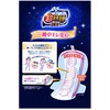 Sofy Super Deep Sleep Guard 330, 14 Pieces (with Kurutto
