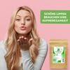 Bio Protect BV L-Lysine Powder 500 g without Additives 100%
