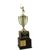 Golf Trophy - Perpetual Cup