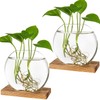 Kingbuy Desktop Round Glass Planter Terrarium Flower Vase with Wooden