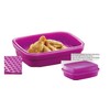 Tupperware Large Season Serve Marinating Container with Mini Sifter in
