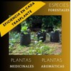 Genérico Bolsas Cultivo de Jardin o vivero Altas (20x30)