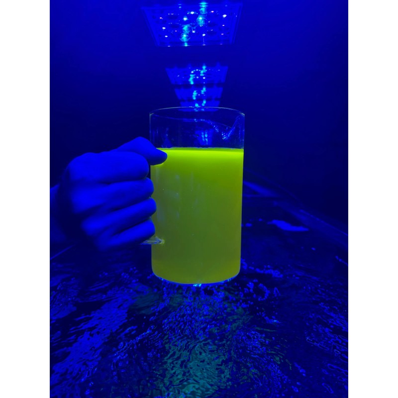 Perfect Corals Aminos Plus - Amino Acids & Essential Vitamins