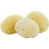 (Commercial Use) Natural Sea Sponges Set of 10