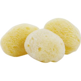 (Commercial Use) Natural Sea Sponges Set of 10