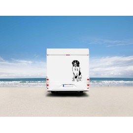 amberdog Landseer Car Sticker, Window Film, Item No. AT0242 Sticker for Car, Motorhome, Caravan, Car Sticker (60 cm, Black)