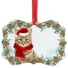 Ginger Maine Coon Cat Christmas Ornament 2025 Benelux Aluminum Holiday