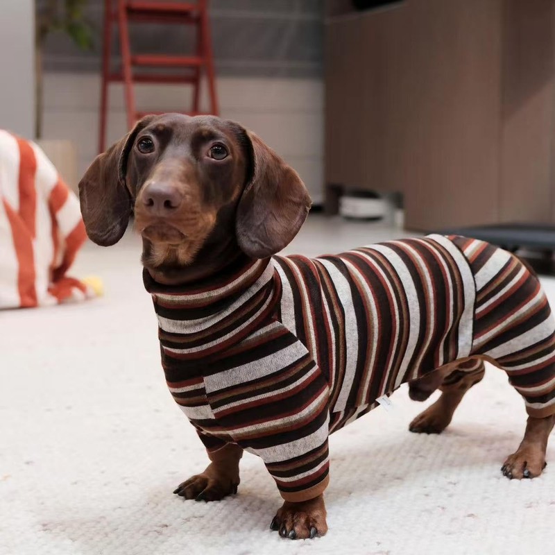 Whalemire Dachshund Lightweight Striped Four-Leg Dog Jumpsuit, Soft Breathable Stretch