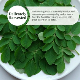 Akshit Natural Whole Moringa Leaves, 7.8oz, Dried Leaves, Hoja De Moringa Secas, Loose Leaf Tea, Moringa Leaf Herbal Tea, Non-GMO