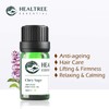 Clary Sage Essential Oil - 100% Pure Clary Sage Oil