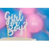 Mason Cash Girl Or Boy Silver Glitter Topper
