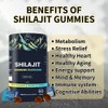 100% Shilajit Gummy Platinum-Shilajit Gummies, Pure Himalayan Platinum Shilajit 3000mg