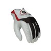 Bridgestone Golf 2015 E Glove, Left Hand, Large