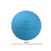 PROTONE lacrosse ball/massage ball for trigger point massage/rehab/physiotherapy (Blue)